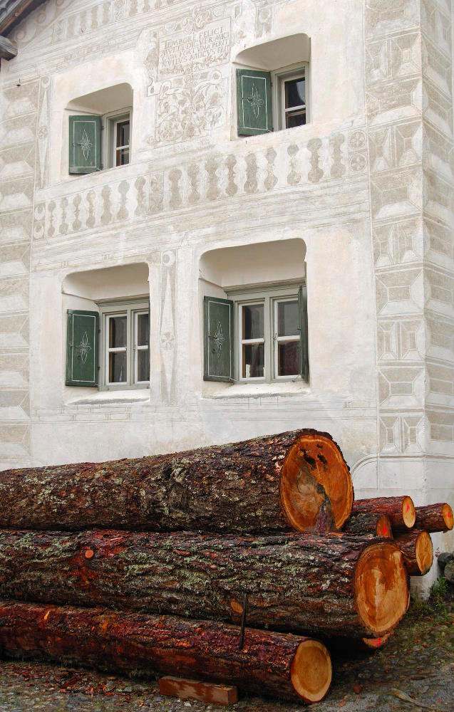 Baumpflege Wiener Neustadt Über uns